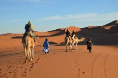 circuit-desert-chegaga
